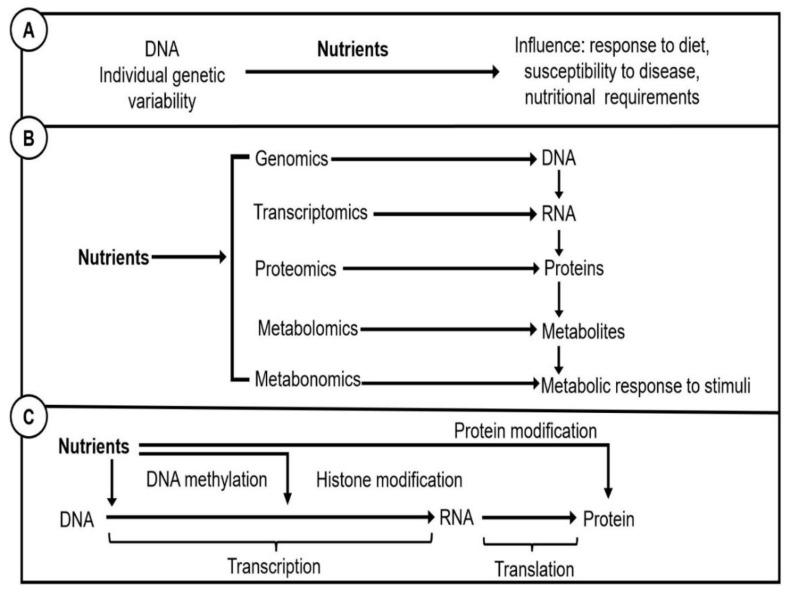 https://cdn.ncbi.nlm.nih.gov/pmc/blobs/5d5a/9740135/c46927389d41/nutrients-14-05108-g003.jpg