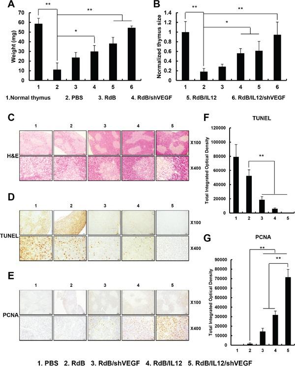 https://cdn.ncbi.nlm.nih.gov/pmc/blobs/5d6f/5356712/b42b8199e3a1/oncotarget-07-84965-g006.jpg
