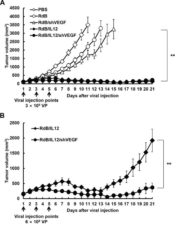 https://cdn.ncbi.nlm.nih.gov/pmc/blobs/5d6f/5356712/dc6897774777/oncotarget-07-84965-g002.jpg