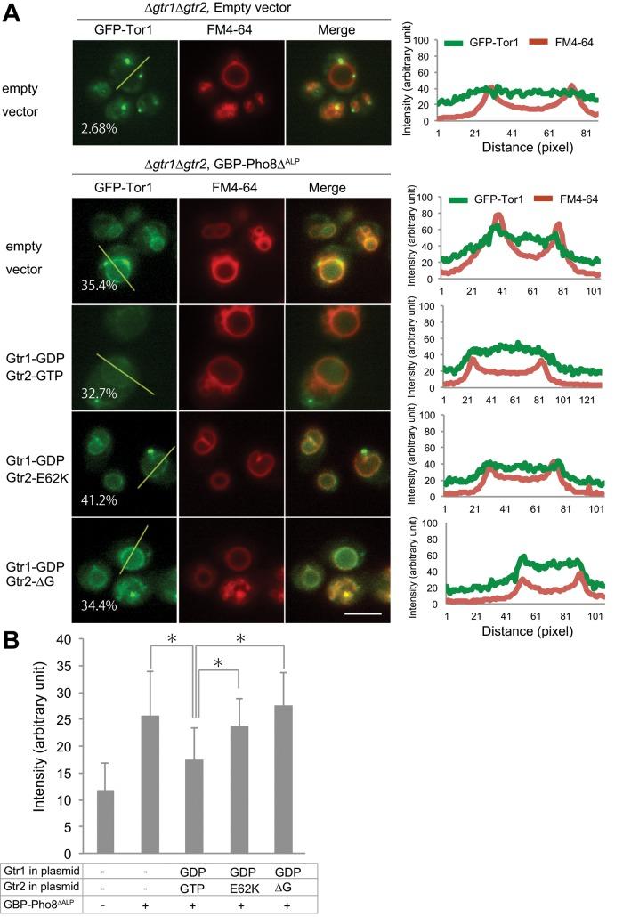 https://cdn.ncbi.nlm.nih.gov/pmc/blobs/5d74/4713139/28ebd0aa9629/382fig10.jpg