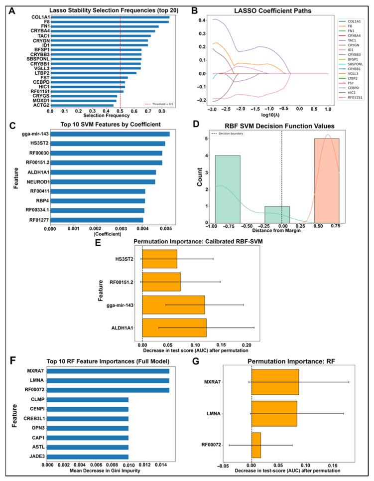 https://cdn.ncbi.nlm.nih.gov/pmc/blobs/5d77/12347510/3c1a07f17003/ijms-26-07422-g002.jpg