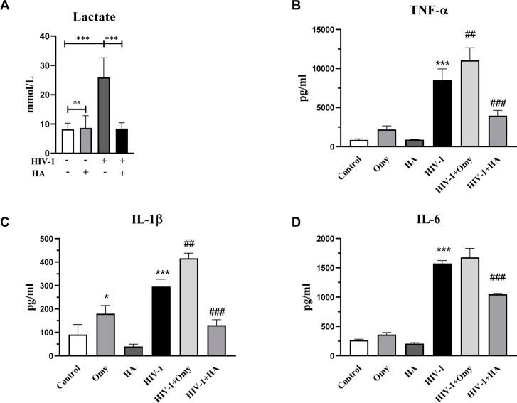 https://cdn.ncbi.nlm.nih.gov/pmc/blobs/5d85/10556724/707fd51a1b9a/LSA-2023-02148_FigS2.jpg