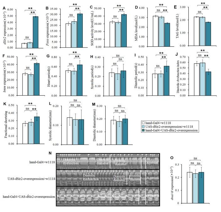 https://cdn.ncbi.nlm.nih.gov/pmc/blobs/5da5/6756900/117da2656ef6/aging-11-102261-g004.jpg