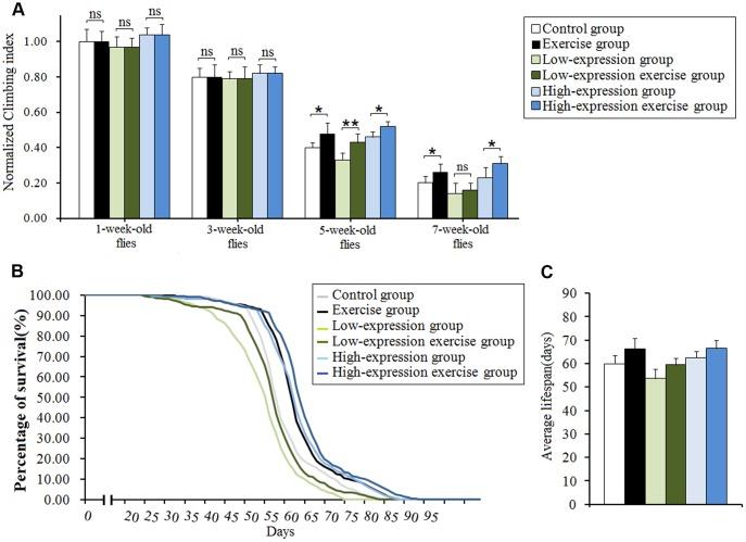 https://cdn.ncbi.nlm.nih.gov/pmc/blobs/5da5/6756900/7e6832633dc4/aging-11-102261-g007.jpg