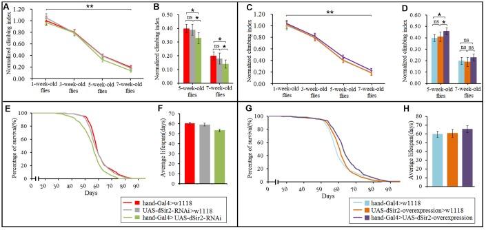 https://cdn.ncbi.nlm.nih.gov/pmc/blobs/5da5/6756900/c38eed59213c/aging-11-102261-g006.jpg