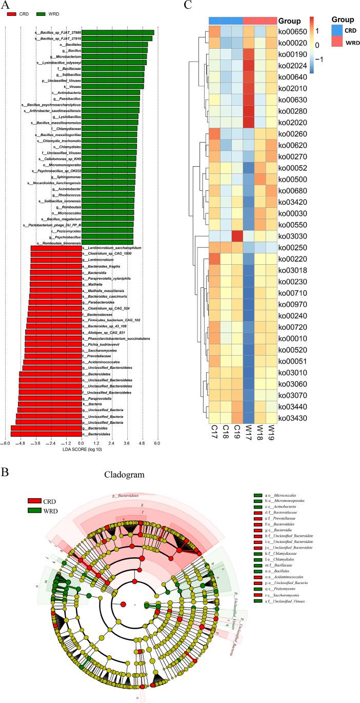 https://cdn.ncbi.nlm.nih.gov/pmc/blobs/5daf/10789680/804d2eefaab7/253_2023_12841_Fig4_HTML.jpg