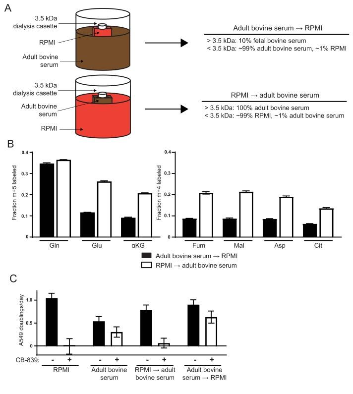 https://cdn.ncbi.nlm.nih.gov/pmc/blobs/5db4/5589418/37f9a19fecfe/elife-27713-fig2.jpg