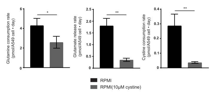 https://cdn.ncbi.nlm.nih.gov/pmc/blobs/5db4/5589418/caab626adea0/elife-27713-fig4-figsupp1.jpg