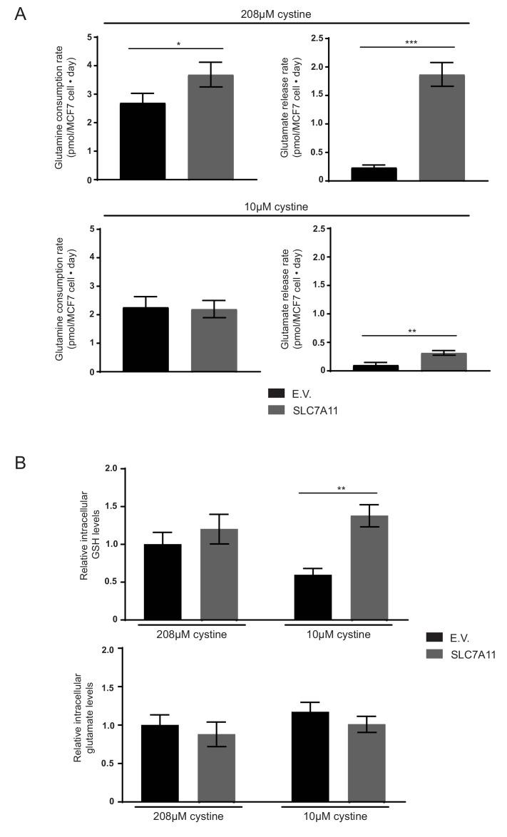 https://cdn.ncbi.nlm.nih.gov/pmc/blobs/5db4/5589418/d6e618e19e00/elife-27713-fig4-figsupp3.jpg