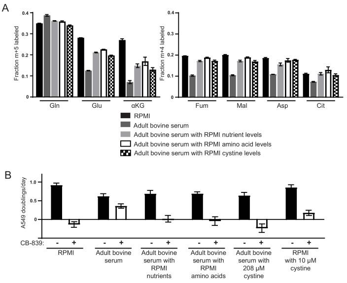 https://cdn.ncbi.nlm.nih.gov/pmc/blobs/5db4/5589418/d710c80a851a/elife-27713-fig3.jpg