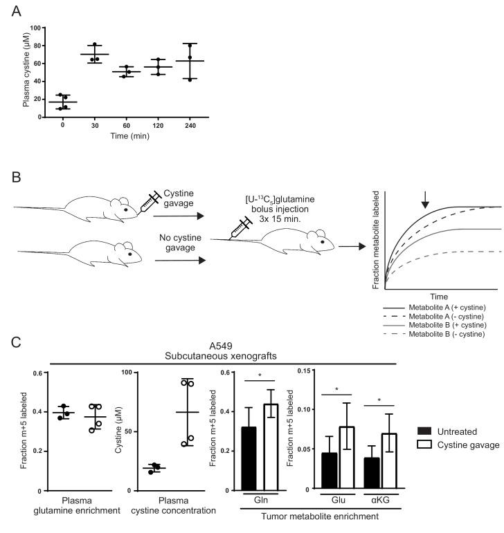https://cdn.ncbi.nlm.nih.gov/pmc/blobs/5db4/5589418/df39860e85f6/elife-27713-fig5.jpg
