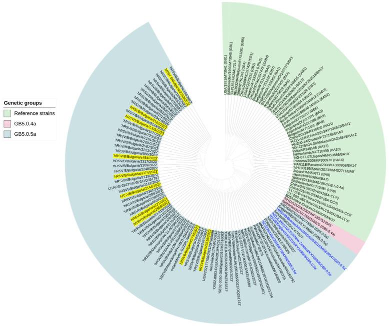 https://cdn.ncbi.nlm.nih.gov/pmc/blobs/5db5/11209099/06c96117e633/viruses-16-00958-g004.jpg