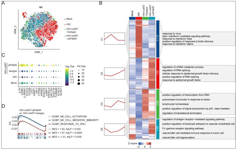 https://cdn.ncbi.nlm.nih.gov/pmc/blobs/5dd2/12390710/50ecba5d8227/viruses-17-01099-g003.jpg