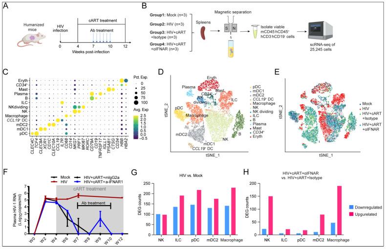 https://cdn.ncbi.nlm.nih.gov/pmc/blobs/5dd2/12390710/75d12f543a02/viruses-17-01099-g002.jpg