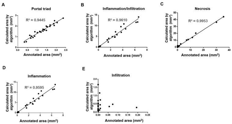 https://cdn.ncbi.nlm.nih.gov/pmc/blobs/5de5/9222125/25ef327cf42a/diagnostics-12-01478-g005.jpg