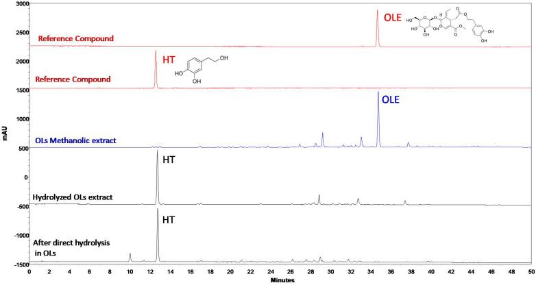 https://cdn.ncbi.nlm.nih.gov/pmc/blobs/5dea/10818913/0fa21f7ab41f/molecules-29-00299-g001.jpg