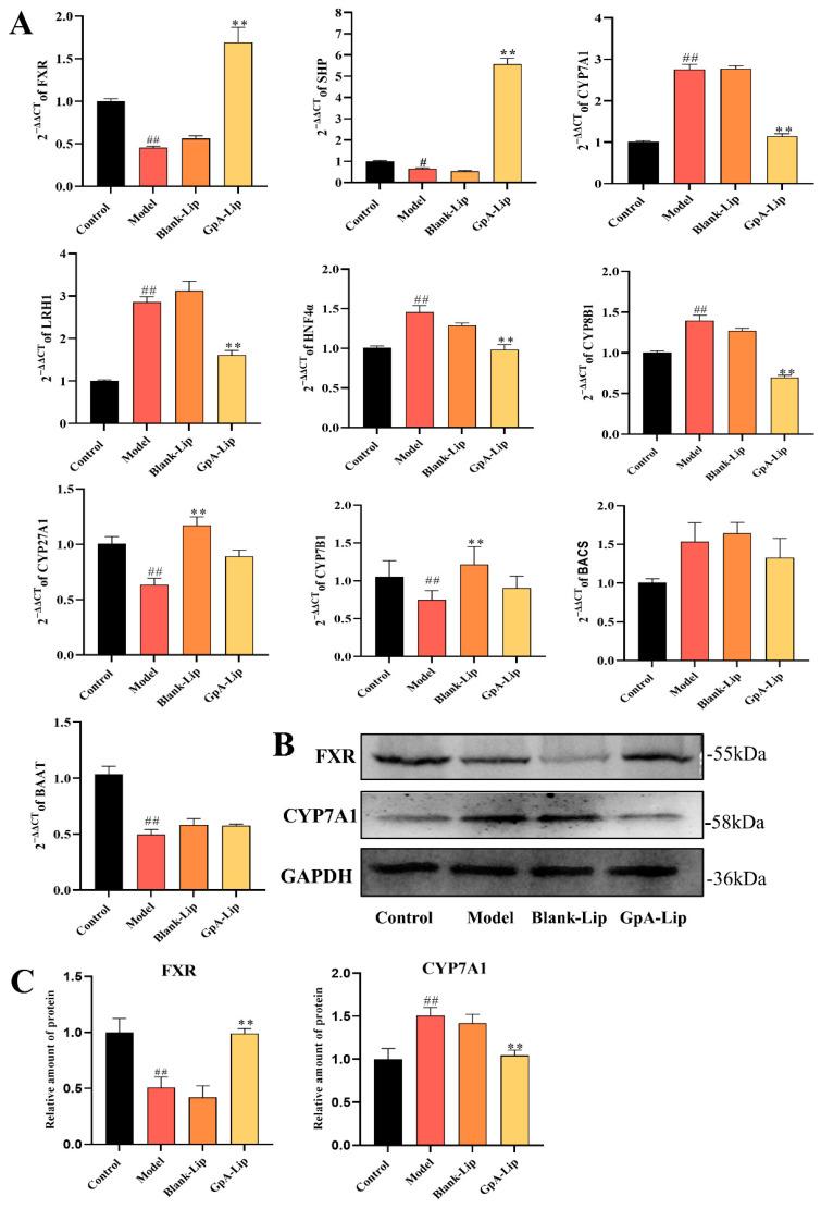 https://cdn.ncbi.nlm.nih.gov/pmc/blobs/5df9/11397205/017230ba49f8/molecules-29-04080-g005.jpg