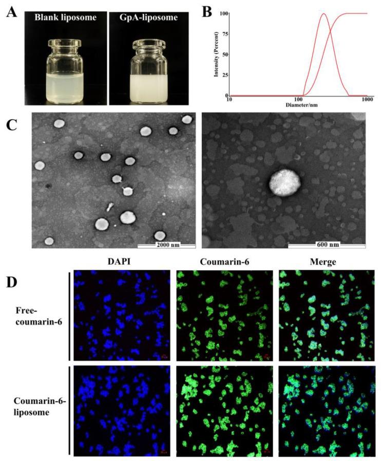 https://cdn.ncbi.nlm.nih.gov/pmc/blobs/5df9/11397205/aaa65e387193/molecules-29-04080-g002.jpg
