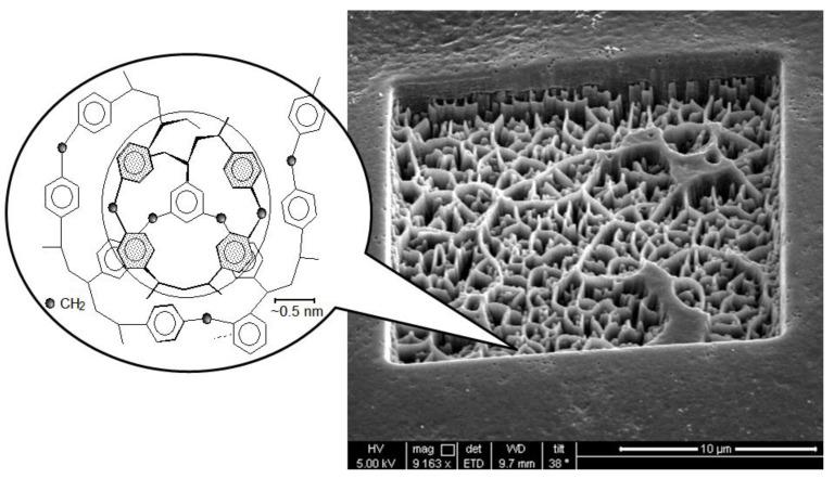 https://cdn.ncbi.nlm.nih.gov/pmc/blobs/5e15/10745566/72e4ccce6f1f/molecules-28-08126-g001.jpg
