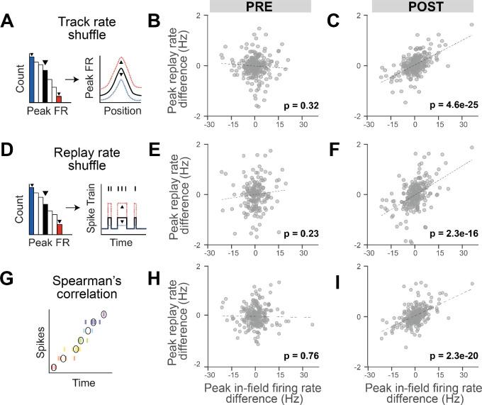 https://cdn.ncbi.nlm.nih.gov/pmc/blobs/5e22/9489210/2e0b3342eaec/elife-79031-fig2.jpg