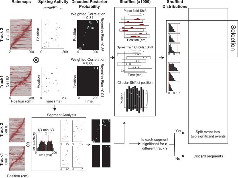https://cdn.ncbi.nlm.nih.gov/pmc/blobs/5e22/9489210/98e5455121f3/elife-79031-fig1-figsupp2.jpg
