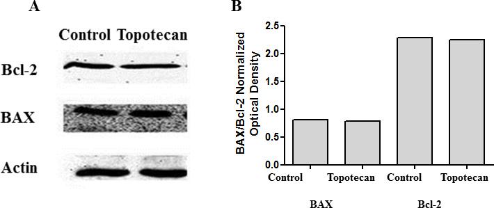 https://cdn.ncbi.nlm.nih.gov/pmc/blobs/5e23/3541047/4033cd8a7cb8/mv-v19-1-f8.jpg
