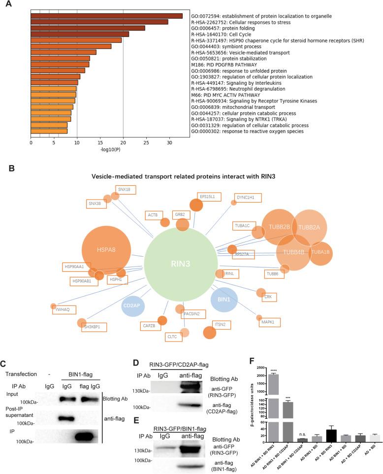 https://cdn.ncbi.nlm.nih.gov/pmc/blobs/5e25/7301499/cbf070e7d4d5/40035_2020_206_Fig3_HTML.jpg