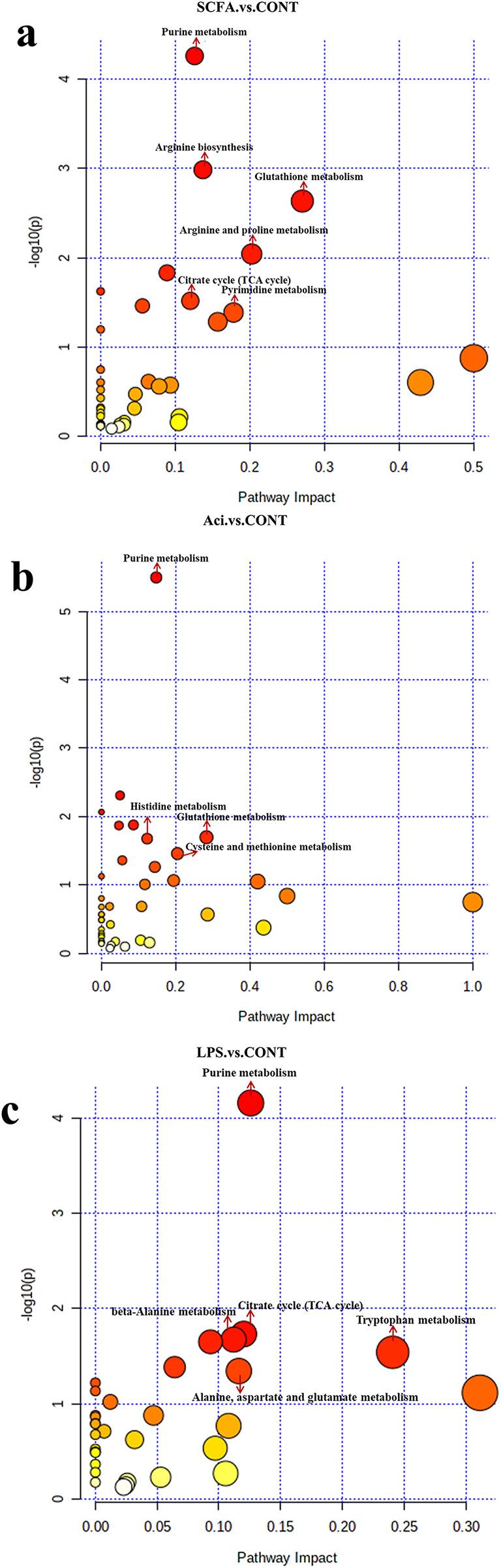 https://cdn.ncbi.nlm.nih.gov/pmc/blobs/5e55/11036571/8d56c60f04da/12864_2024_10242_Fig2_HTML.jpg