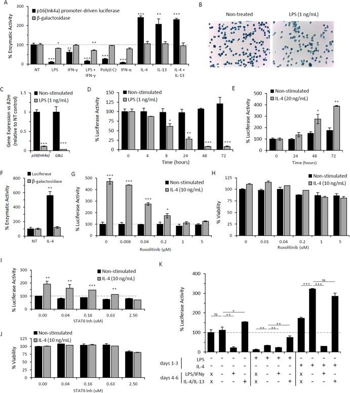 https://cdn.ncbi.nlm.nih.gov/pmc/blobs/5e5d/5611982/2b67fdd872d0/aging-09-1867-g003.jpg