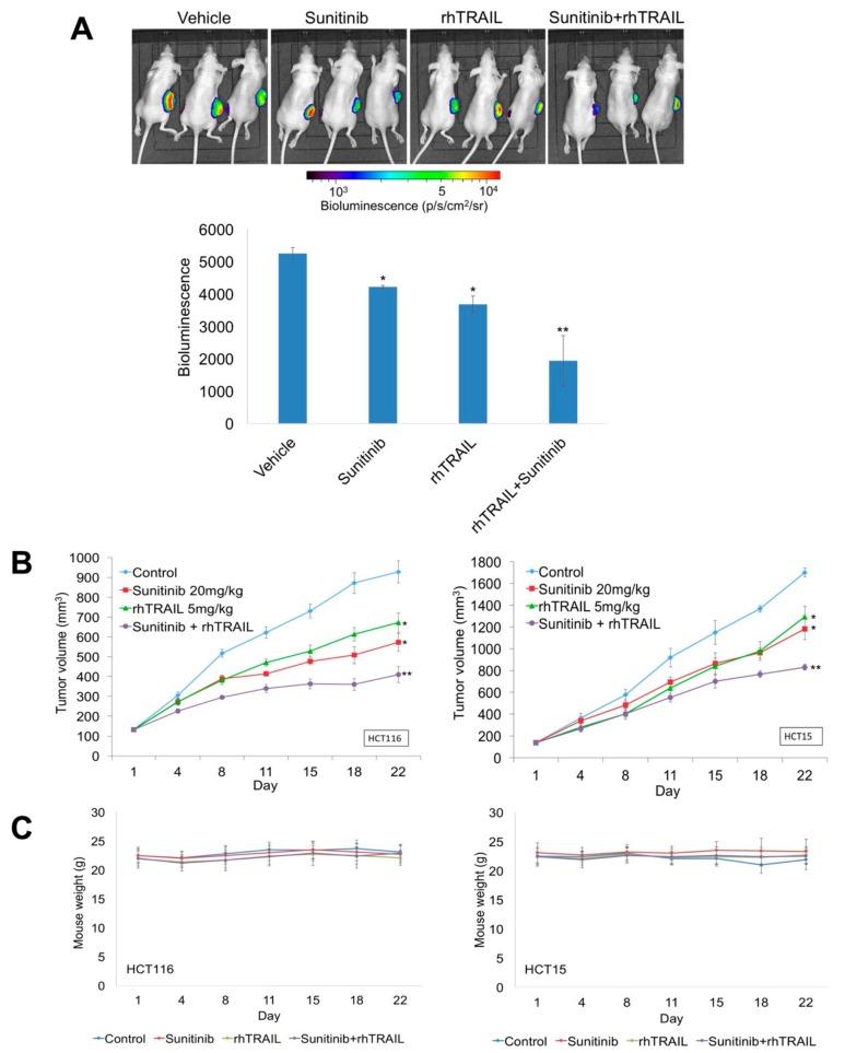 https://cdn.ncbi.nlm.nih.gov/pmc/blobs/5e5e/6678293/8fa647133a48/cancers-11-00895-g005.jpg
