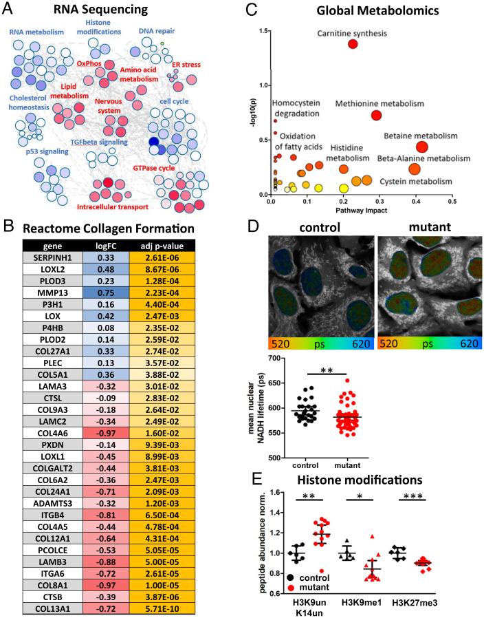 https://cdn.ncbi.nlm.nih.gov/pmc/blobs/5e88/9659340/53386f211319/pnas.2212417119fig03.jpg