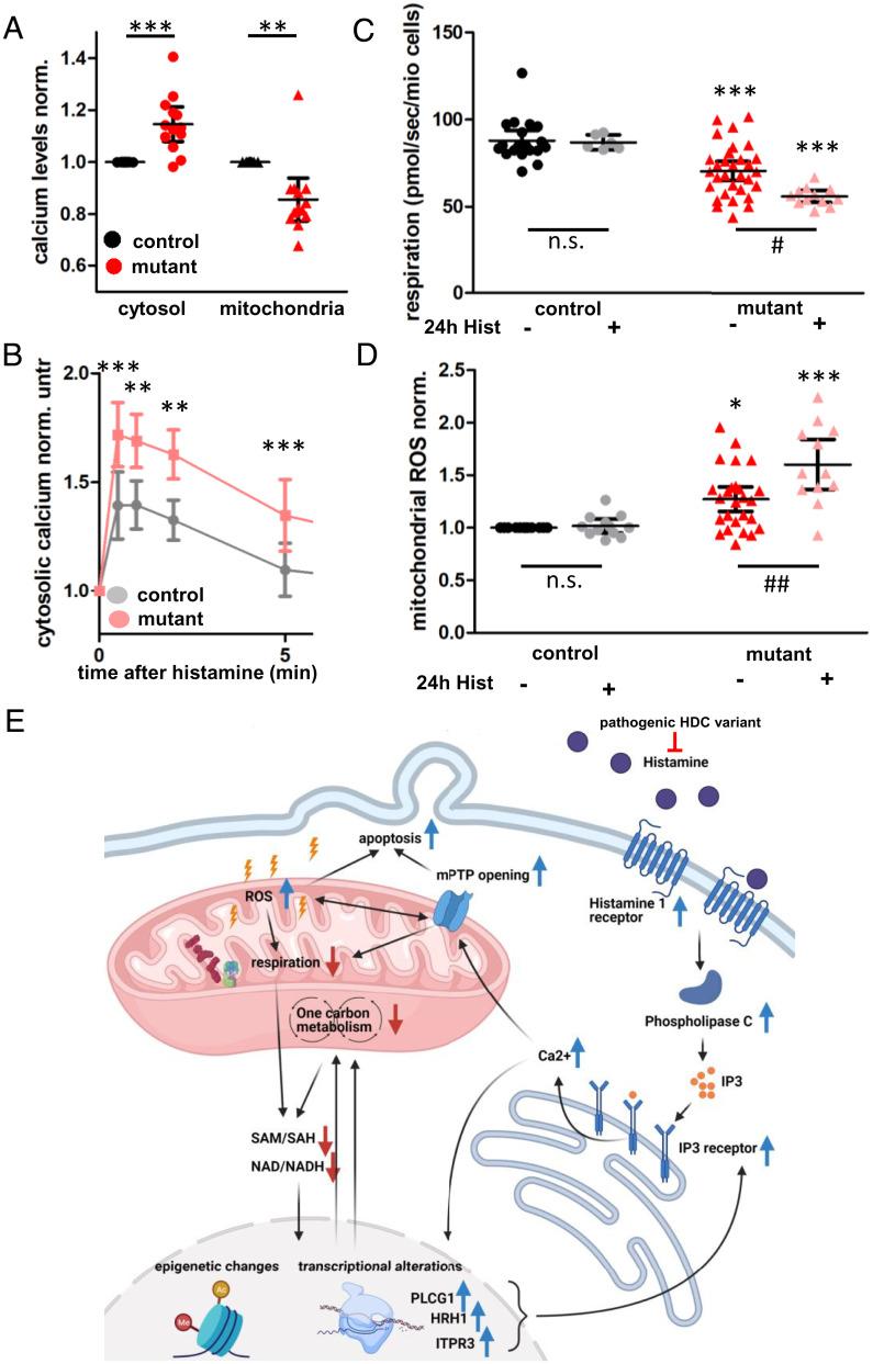 https://cdn.ncbi.nlm.nih.gov/pmc/blobs/5e88/9659340/e679e0eee20b/pnas.2212417119fig04.jpg