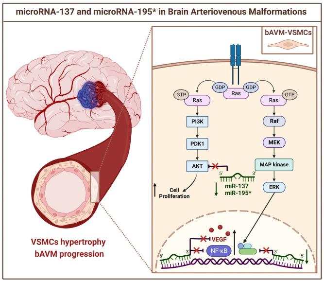https://cdn.ncbi.nlm.nih.gov/pmc/blobs/5ea4/9775264/113edef09182/brainsci-12-01628-g004.jpg