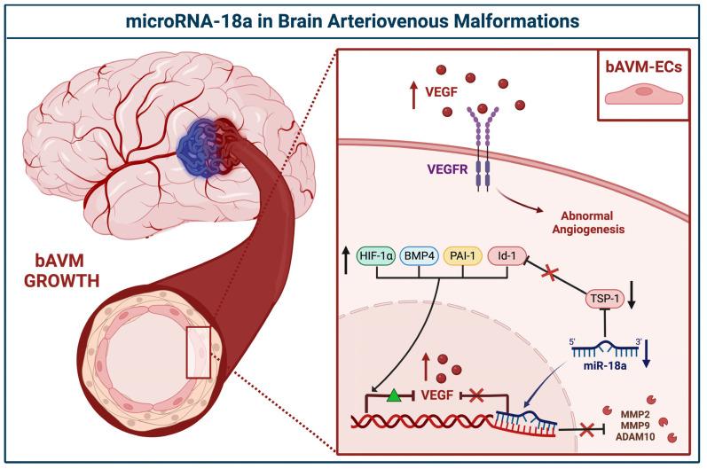 https://cdn.ncbi.nlm.nih.gov/pmc/blobs/5ea4/9775264/de6a304c2ce7/brainsci-12-01628-g003.jpg