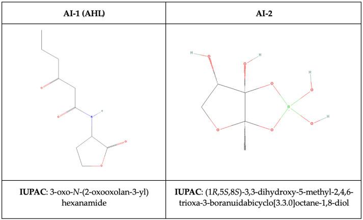 https://cdn.ncbi.nlm.nih.gov/pmc/blobs/5eb6/11641729/1f20976926f7/ijms-25-12808-g004.jpg