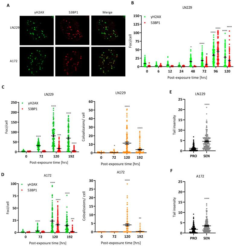 https://cdn.ncbi.nlm.nih.gov/pmc/blobs/5eca/9102829/a8beede80fcc/cancers-14-02233-g002.jpg