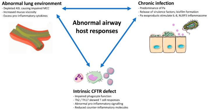 https://cdn.ncbi.nlm.nih.gov/pmc/blobs/5edb/7504341/d40b611033f6/ijms-21-06379-g001.jpg