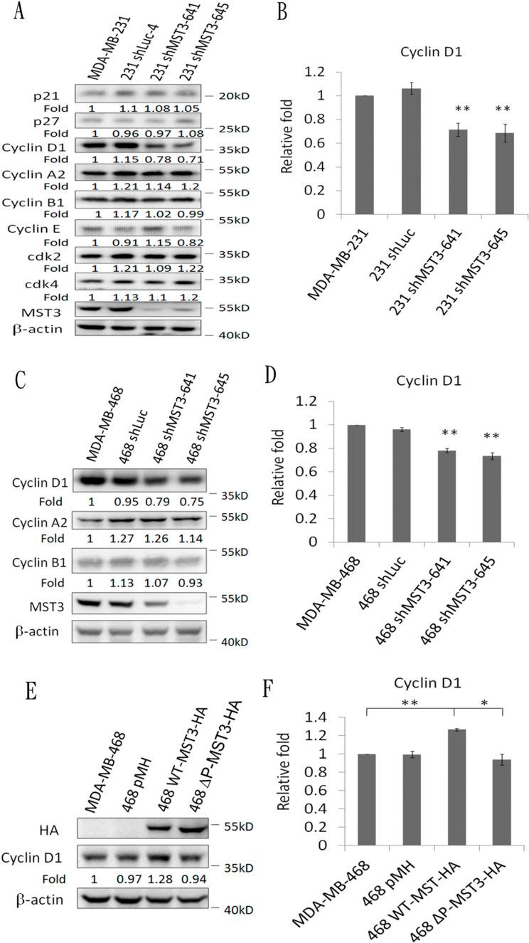https://cdn.ncbi.nlm.nih.gov/pmc/blobs/5ee4/4924737/76b8f75e48c2/oncotarget-07-14586-g007.jpg
