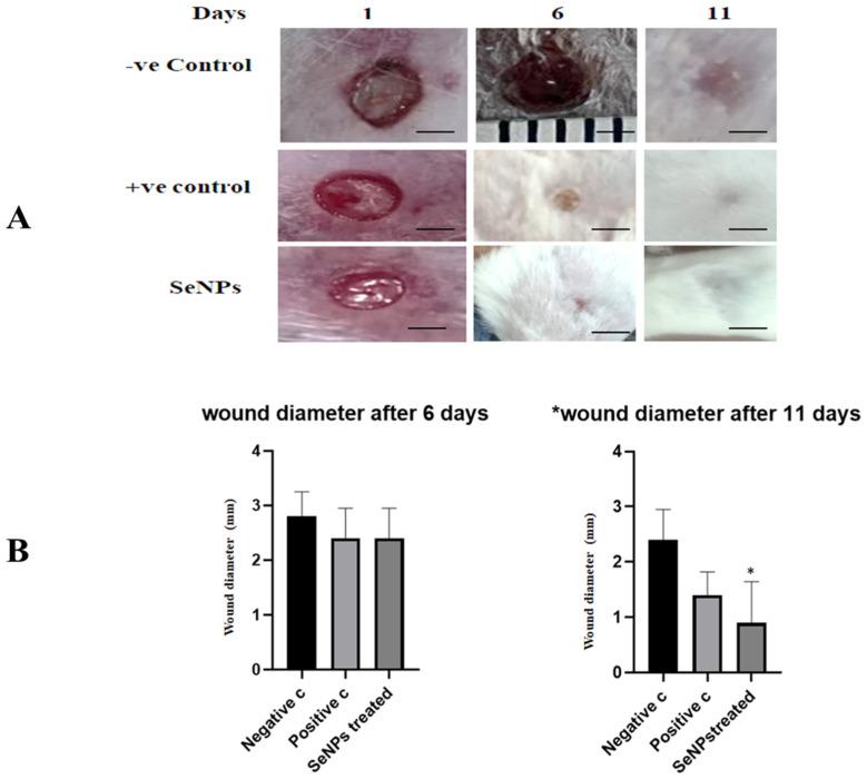 https://cdn.ncbi.nlm.nih.gov/pmc/blobs/5ef5/10536823/602184f9fd8b/microorganisms-11-02341-g008.jpg