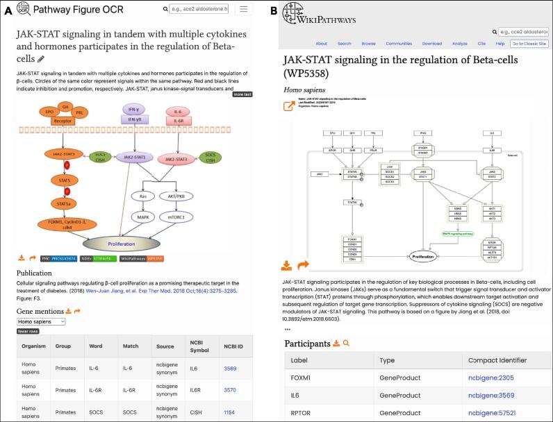 https://cdn.ncbi.nlm.nih.gov/pmc/blobs/5f05/10767877/c397fad1cc27/gkad960fig5.jpg