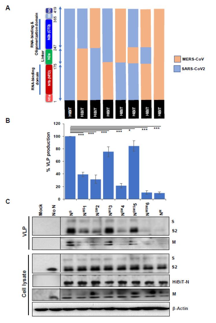 https://cdn.ncbi.nlm.nih.gov/pmc/blobs/5f15/8068838/c67b80c6ebef/cells-10-00853-g004.jpg