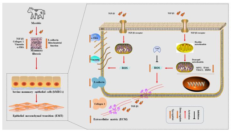 https://cdn.ncbi.nlm.nih.gov/pmc/blobs/5f29/9692329/6513aba0dd5b/metabolites-12-01035-g008.jpg