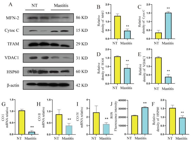 https://cdn.ncbi.nlm.nih.gov/pmc/blobs/5f29/9692329/88a305ea6d25/metabolites-12-01035-g004.jpg