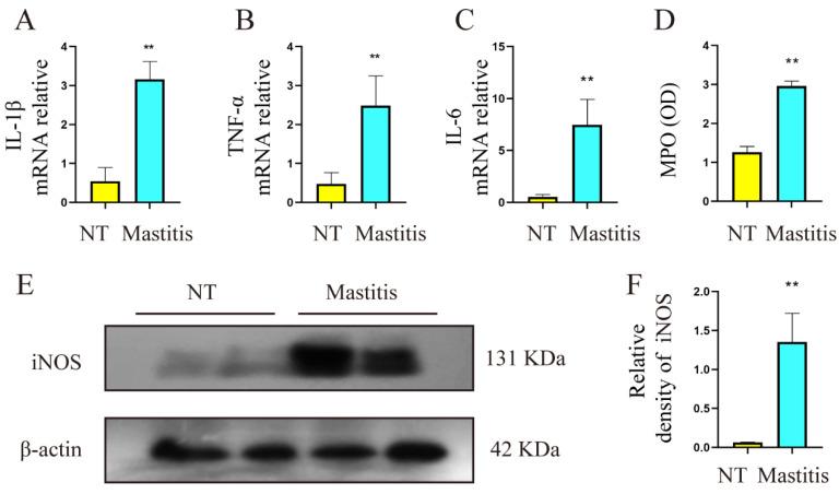 https://cdn.ncbi.nlm.nih.gov/pmc/blobs/5f29/9692329/8edbb4421c59/metabolites-12-01035-g002.jpg