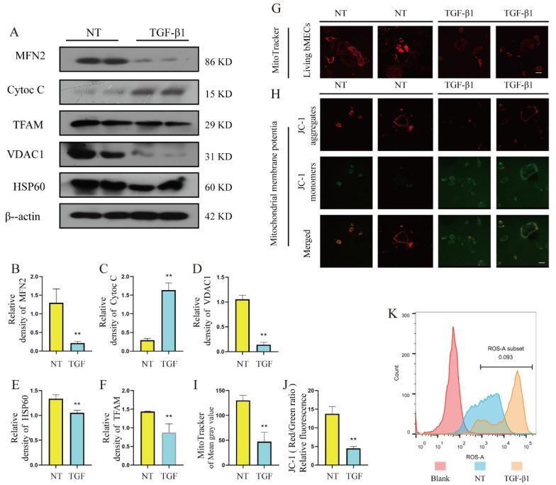 https://cdn.ncbi.nlm.nih.gov/pmc/blobs/5f29/9692329/f854a7da8cff/metabolites-12-01035-g006.jpg