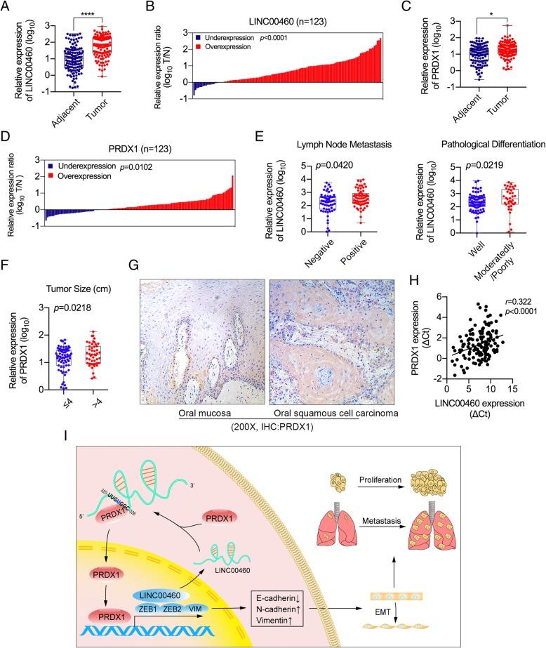 https://cdn.ncbi.nlm.nih.gov/pmc/blobs/5f36/6700841/1107d2a5acc6/13046_2019_1364_Fig7_HTML.jpg