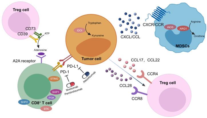 https://cdn.ncbi.nlm.nih.gov/pmc/blobs/5f45/12029830/3b6a6cb14420/molecules-30-01805-g001.jpg