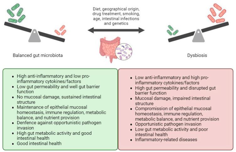https://cdn.ncbi.nlm.nih.gov/pmc/blobs/5f4c/12383986/30f84e6f2412/biomedicines-13-01807-g001.jpg