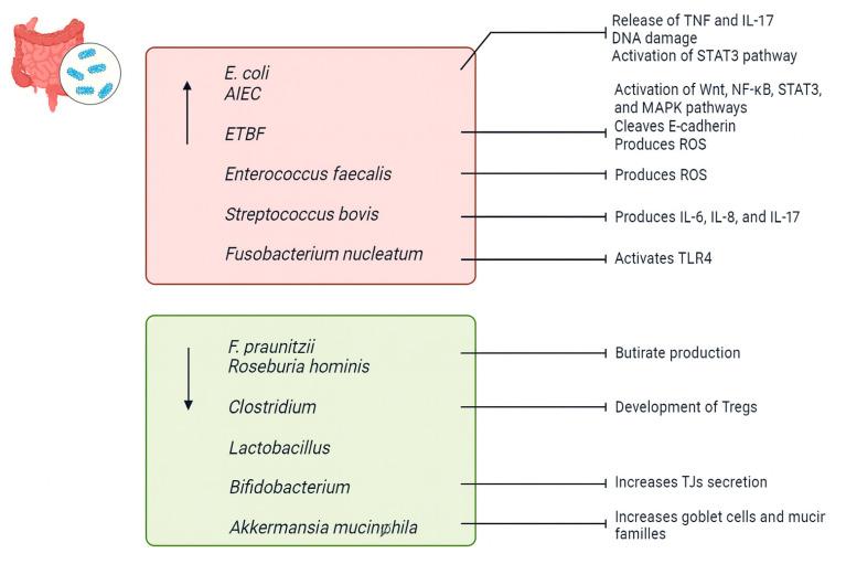 https://cdn.ncbi.nlm.nih.gov/pmc/blobs/5f4c/12383986/596e014cfa21/biomedicines-13-01807-g003.jpg