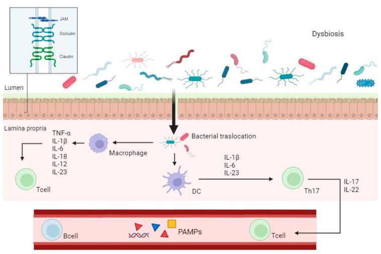 https://cdn.ncbi.nlm.nih.gov/pmc/blobs/5f4c/12383986/fdf22bb779b5/biomedicines-13-01807-g002.jpg